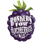 Bonkers For Blackberries - Connecticut Valley Brewing Company - Untappd