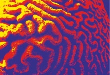 DIPA - Sorachi / Sabro / HBC 472 (2021) - Popihn - Untappd