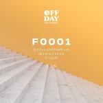 F0001 - Off Day Beer Company - Untappd
