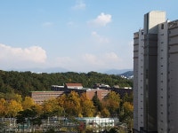 죽동 금성백조예미지의 실거래가, 시세, 매물, 주변정보 | 아파트는 호갱노노