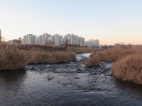 원신흥동 도안19단지양우내안애의 실거래가, 시세, 매물, 주변정보 | 아파트는 호갱노노