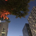 상암동 상암월드컵파크7단지의 실거래가, 시세, 매물, 주변정보 | 아파트는 호갱노노