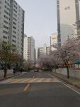 '행당동 행당대림이편한세상'의 실거래가, 시세, 매물, 주변정보 | 아파트는 호갱노노