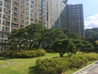 대곡동 수목원서한이다음의 실거래가, 시세, 매물, 주변정보 | 아파트는 호갱노노
