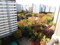 등촌동 등촌부영의 실거래가, 시세, 매물, 주변정보 | 아파트는 호갱노노