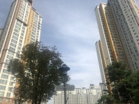 하동 광교호수마을참누리LAKE의 실거래가, 시세, 매물, 주변정보 | 아파트는 호갱노노