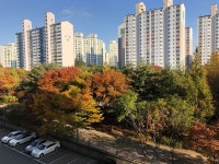 동보신명아파트의 황정숙 중개사 | 아파트는 호갱노노