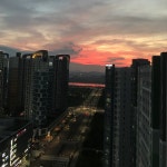 배곧한신더휴의 박찬미 중개사 | 아파트는 호갱노노
