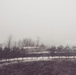 장지동 동탄2아이파크2의 실거래가, 시세, 매물, 주변정보 | 아파트는 호갱노노