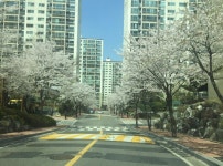 보라동 민속마을현대모닝사이드의 실거래가, 시세, 매물, 주변정보 | 아파트는 호갱노노