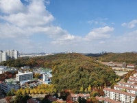 고잔동 힐스테이트중앙의 실거래가, 시세, 매물, 주변정보 | 아파트는 호갱노노