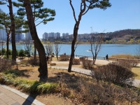 광교레이크파크수자인의 이지영 중개사 | 아파트는 호갱노노