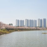 초지역메이저타운푸르지오메트로단지의 박선하 중개사 | 아파트는 호갱노노