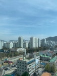 진성베가타운의 황선대 중개사 | 아파트는 호갱노노