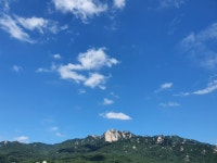 도봉한신의 김미경 중개사 | 아파트는 호갱노노