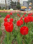 메일빈 소사벌더샵마스터뷰점 | '소사벌더샵'의 선종중 중개사 | 아파트는 호갱노노