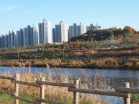루원시티대성베르힐의 이예진 중개사 | 아파트는 호갱노노