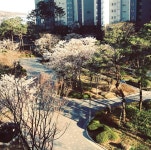 풍무동 풍무푸르지오의 실거래가, 시세, 매물, 주변정보 | 아파트는 호갱노노