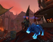 월드 오브 워크래프트 인벤 : 그동안 모운 야수정령 펫들~ - 와우 인벤 득템 자랑 및 인증 게시판 그동안 모운 야수정령 펫들~