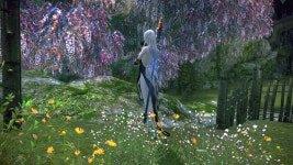 테라(TERA) 인벤 : * 아메나 콰틀라 - 테라 인벤 스크린샷 갤러리 * 아메나 콰틀라