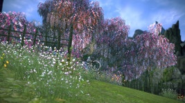 테라(TERA) 인벤 : 아메나 콰틀라 - 테라 인벤 사제 게시판 아메나 콰틀라