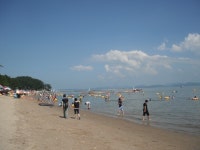 IT 인벤 : 전남 장흥 나들이 - IT인벤 자유게시판 전남 장흥 나들이