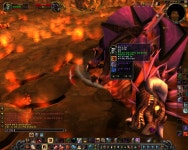 월드 오브 워크래프트 인벤 : 촉이오는날은 뭔가다르네요 1타2피! - 와우 인벤 득템 자랑 및 인증 게시판 촉이오는날은 뭔가다르네요 1타2피!