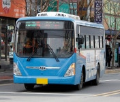 대전광역시의 시내버스