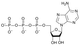 Oxygen compounds