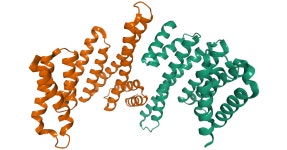 14-3-3 protein