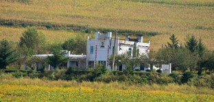 상대역