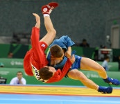Sambo (martial art)