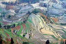 Yunnan