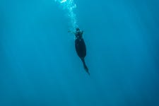 Aquatic locomotion
