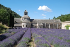 Abbey