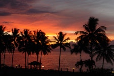 Tropics