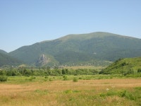 Ruy (mountain)