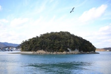 주도 (완도군)