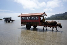 牛車