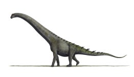 List of South American dinosaurs