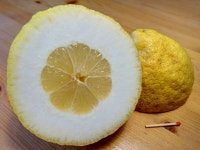 Citron