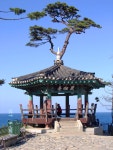 의상대