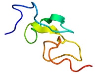 Epidermal growth factor