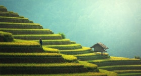 タイ王国