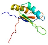 ELAV-like protein 2
