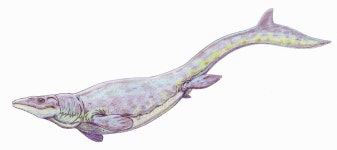 Mosasaur
