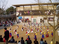 男寺党