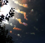 Cloud