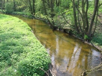 Moszczenica (river)