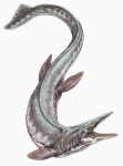 Wikipedia:WikiProject Palaeontology/Paleoart review/Archive 31